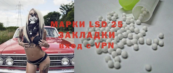 шишки Абаза