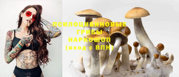 шишки Абаза