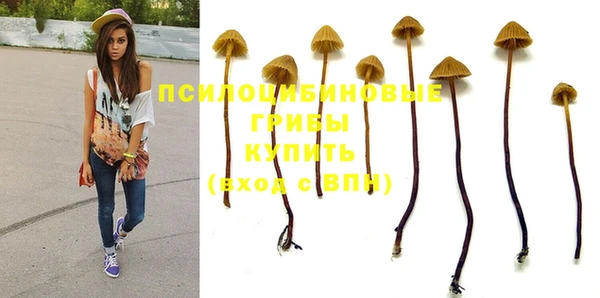 гашик Абдулино