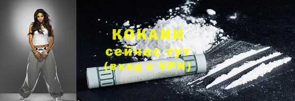 шишки Абаза