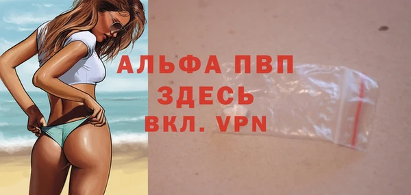 шишки Абаза