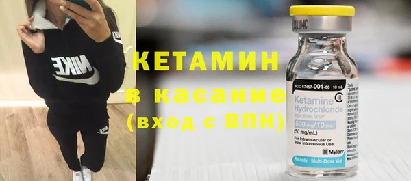 шишки Абаза