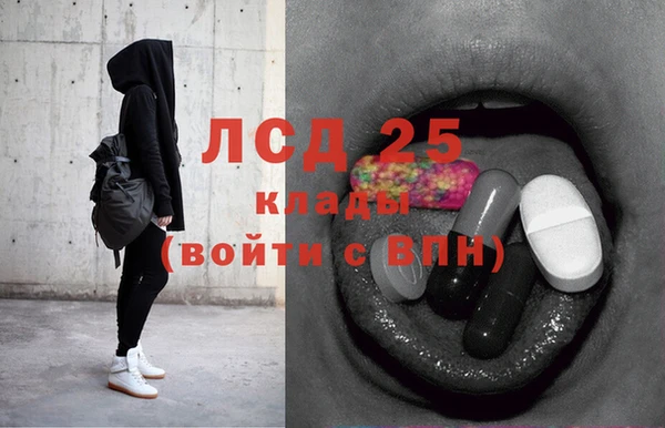 шишки Абаза