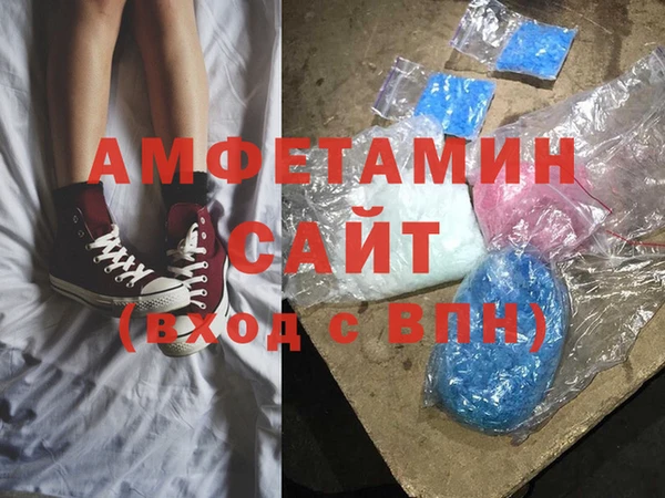 шишки Абаза