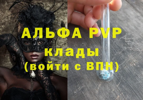 шишки Абаза