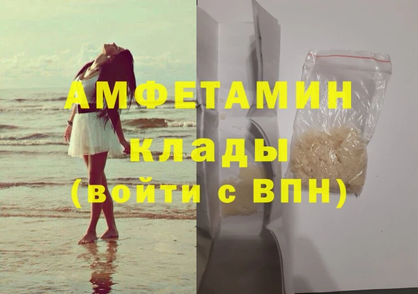шишки Абаза