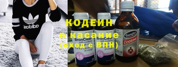 шишки Абаза